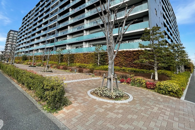 シティテラス板橋蓮根の緑の緩衝帯