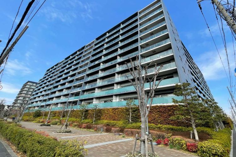 シティテラス板橋蓮根の賃貸・売買の幅広い物件管理に対応